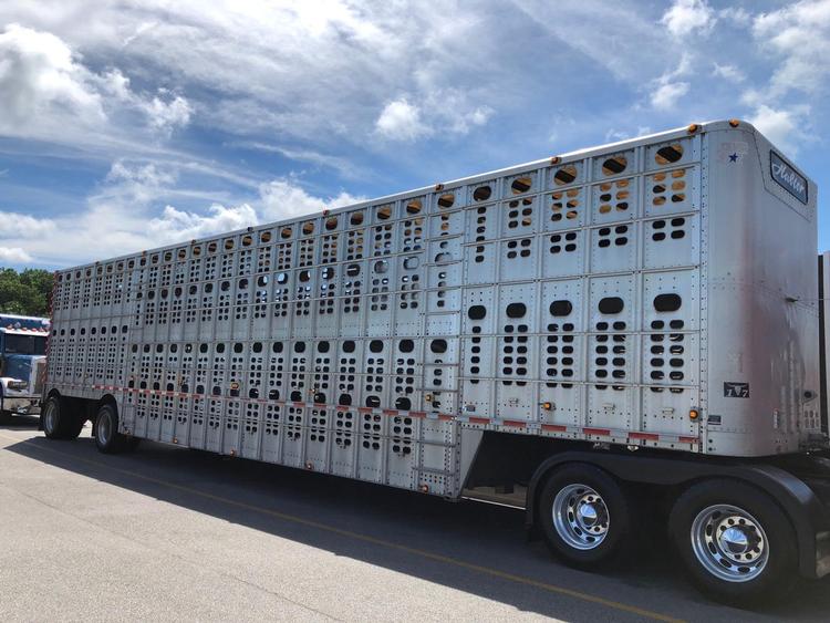 Livestock Network Cattle Trailers For Sale Cattle Trucking Jobs
